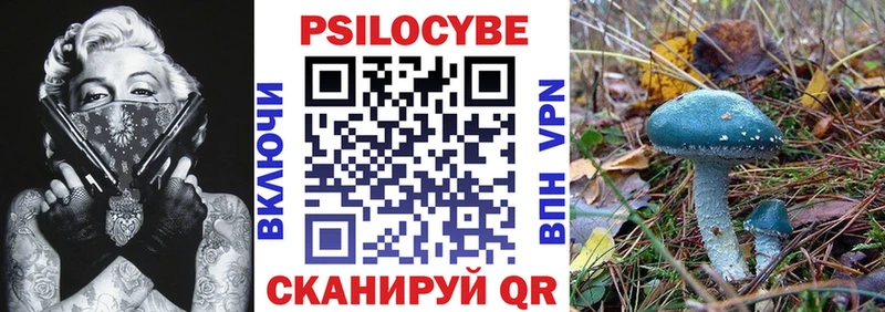 мега рабочий сайт  Котовск  Псилоцибиновые грибы Cubensis  наркошоп 